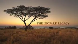 PBS Nature - The Leopard Legacy (2021)