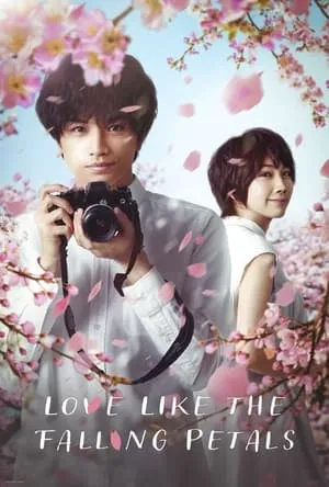 My Dearest, Like a Cherry Blossom (2022)