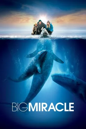 Big Miracle (2012) [w/Commentary]