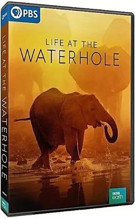 PBS-BBC EARTH - Life at the Waterhole: Series 1