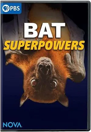 PBS - Nova : Bat Superpowers (2021)