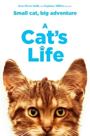 A Cat's Life (2023) [Dual Audio]