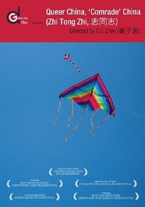 Queer China, 'Comrade' China (2009)