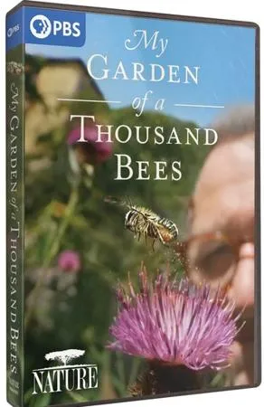 PBS - NATURE: My Garden of a Thousand Bees