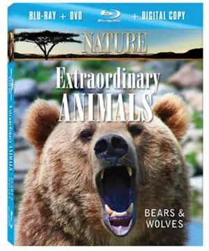 Nature: Extraordinary Animals - Bears & Wolves