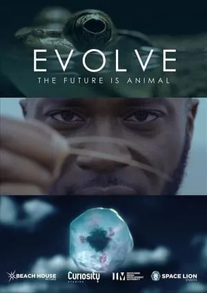 Arte - Evolve: Series 1 (2021)