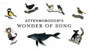 Attenborough's Wonder of Song
