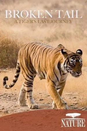 PBS - Nature: Broken Tail: A Tiger's Last Journey (2011)
