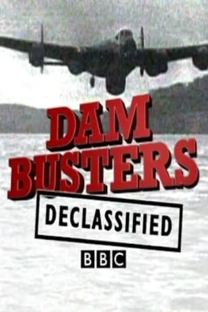 Dam Busters Declassified (2010)
