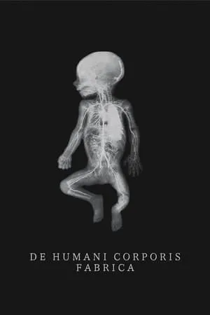 De humani corporis fabrica / The Fabric of the Human Body (2022)