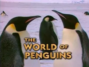 PBS Nature - The World of Penguins (1995)