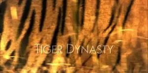 BBC - Natural World: Tiger Dynasty
