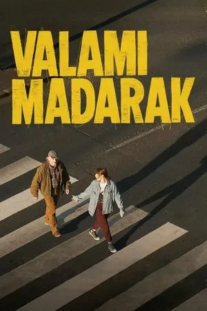 Some Birds (2023) Valami madarak