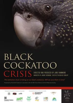 Black Cockatoo Crisis (2022)