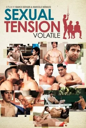 Sexual Tension: Volatile (2012)