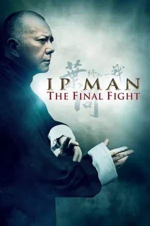 Ip Man: The Final Fight (2013) Yip Man: Jung gik yat zin