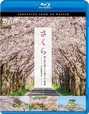 Sakura: Haru o irodoru hanayakana sakura no aru fûkei