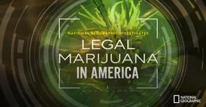 Legal Marijuana in America: The New Green Rush