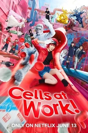 Hataraku saibou / Cells at Work! (2024)