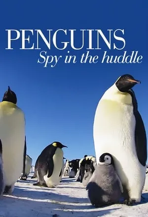 BBC - Penguins: Spy in the Huddle (2013)