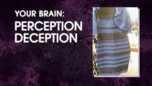 Your Brain
