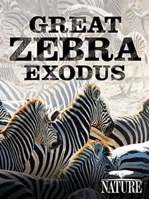 PBS - Nature: Great Zebra Exodus