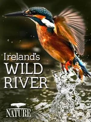 Ireland's Wild River (2014)