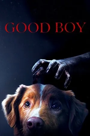 Good Boy (2025)