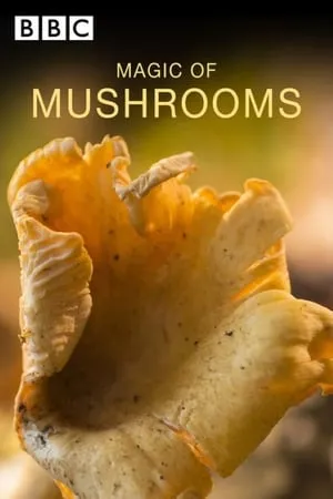 BBC - The Magic of Mushrooms (2014)