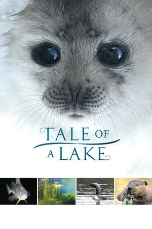 Tale of a Lake / Järven tarina (2016)