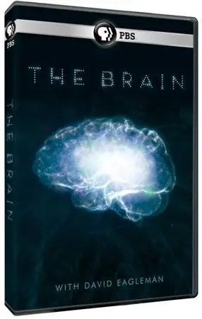 PBS - The Brain with David Eagleman