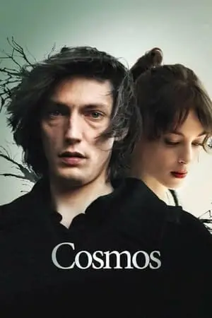 Cosmos (2015)