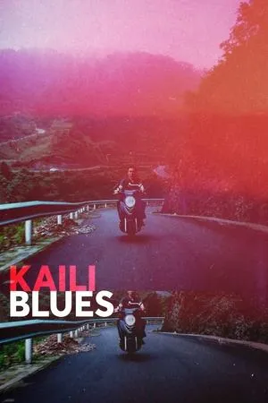 Lu bian ye can / Kaili Blues (2015)
