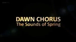 Dawn Chorus: The Sounds of Spring