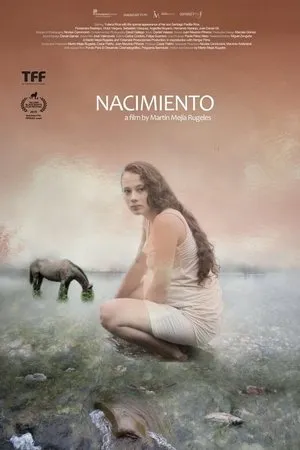 Delivery (2015)