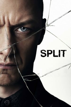 Split (2017) [MultiSubs]