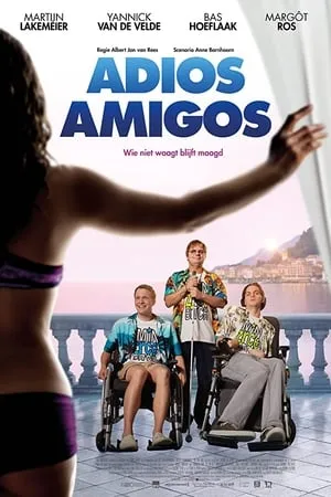 Adios Amigos (2016) [MultiSubs]