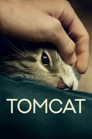 Tomcat (2016) Kater