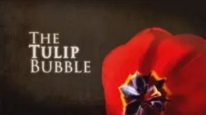 The Tulip Bubble