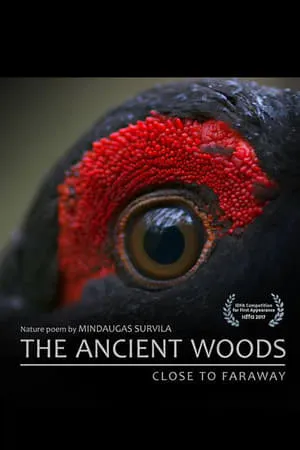 The Ancient Woods