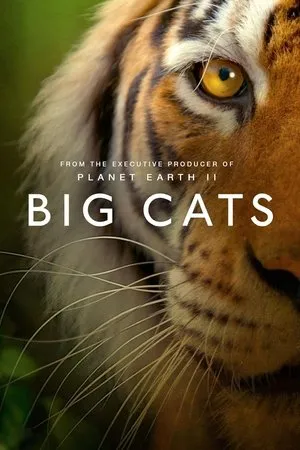 Big Cats S02E01