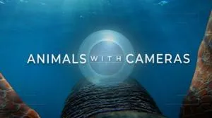 BBC - Animals with Cameras: Series 2 (2021)