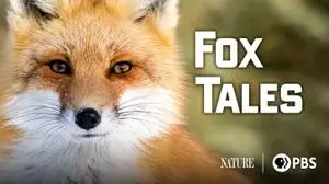 PBS Nature - Fox Tales (2017)