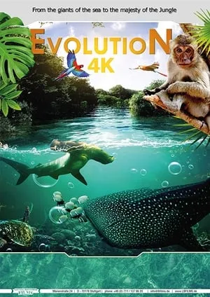 Evolution 4K (2018)