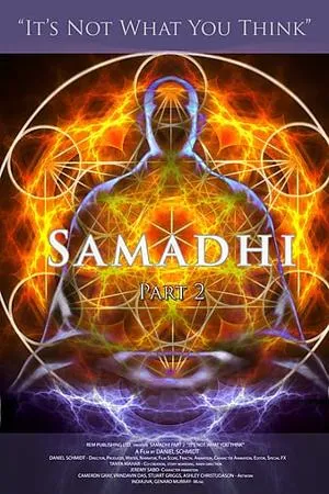 Samadhi: Part 2 It's Not What You Think