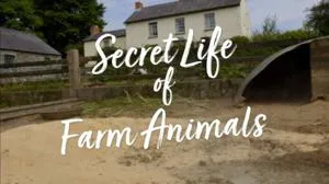 BBC - Secret Life of Farm Animals