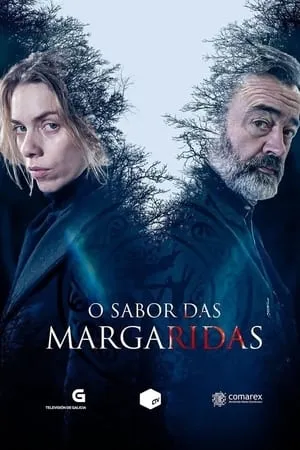 Il sapore delle margherite